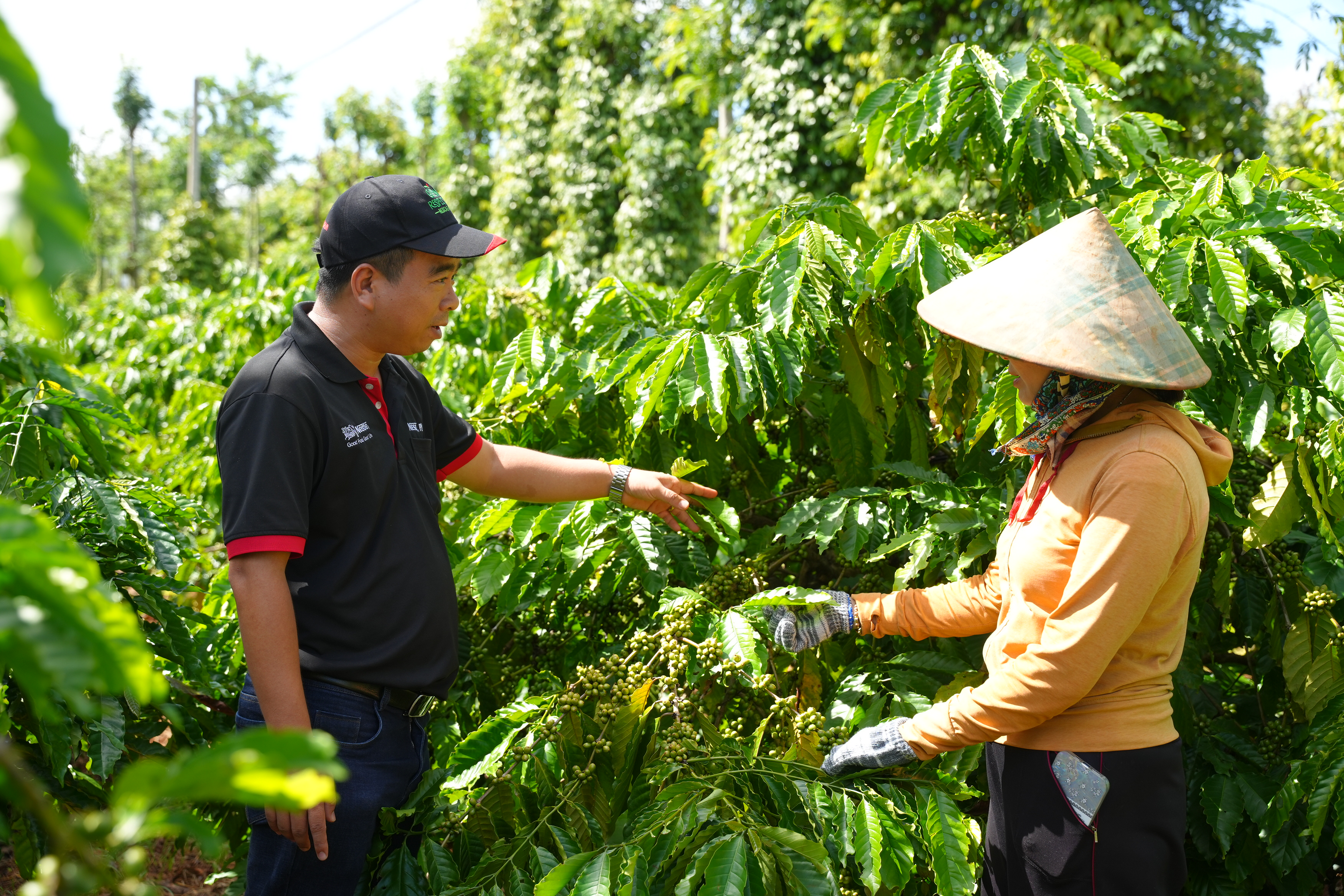 nestle-viet-nam-hop-tac-da-ben-hien-thuc-hoa-phat-trien-ben-vung.JPG