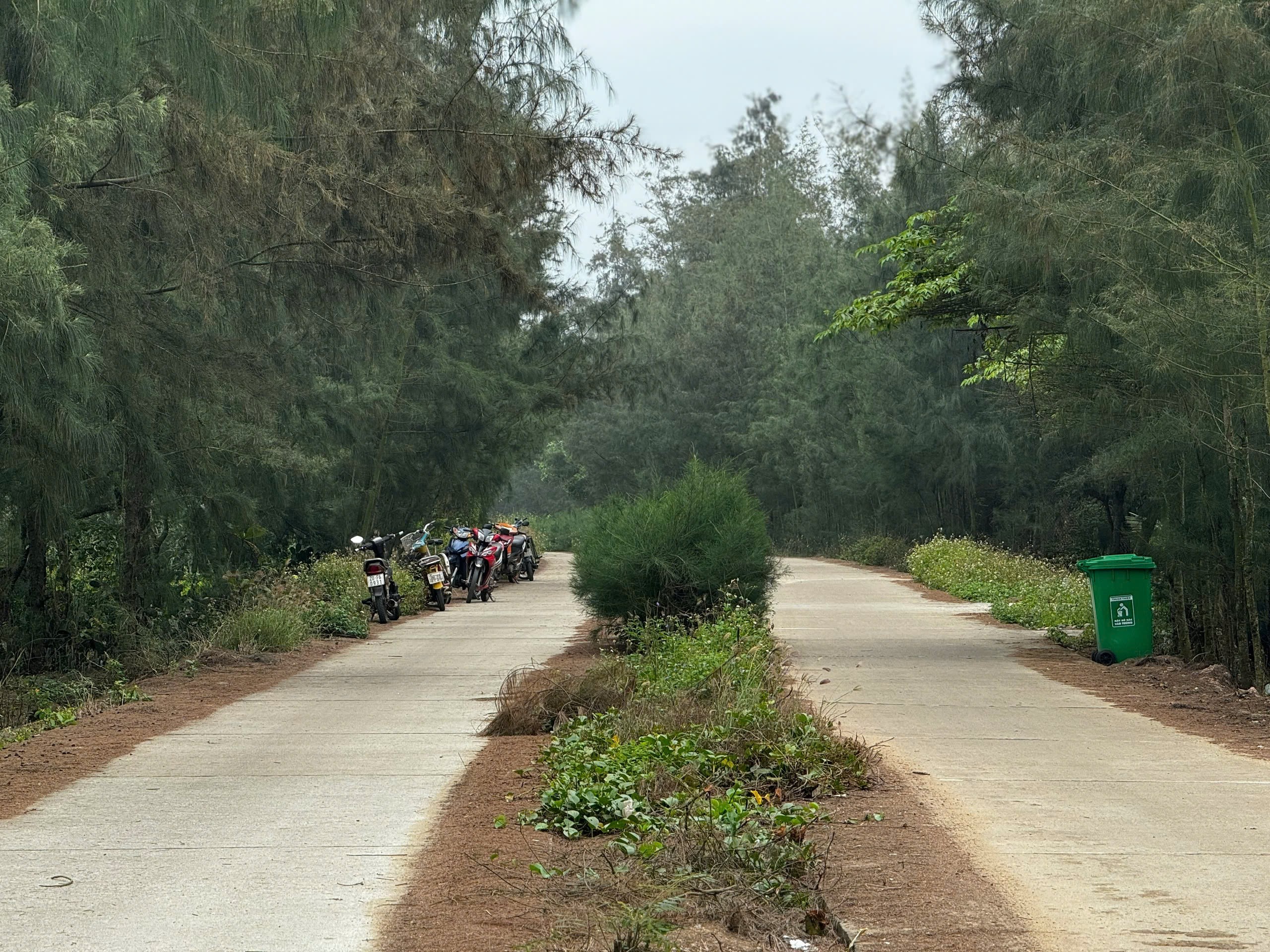 Khởi tố thêm 2 giám đốc trong vụ 'rút ruột’ đường ven biển ở Quảng Ngãi