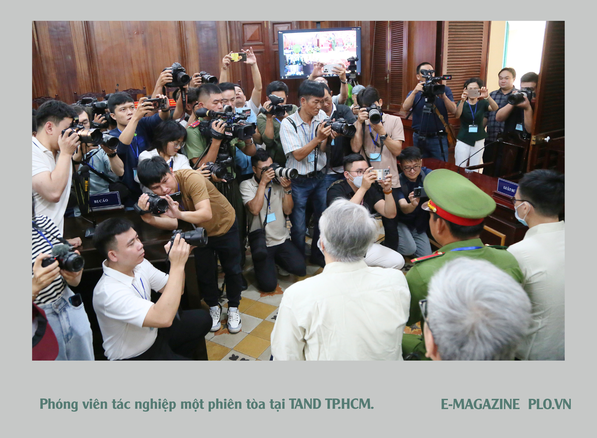 Báo Pháp Luật TP (5).png