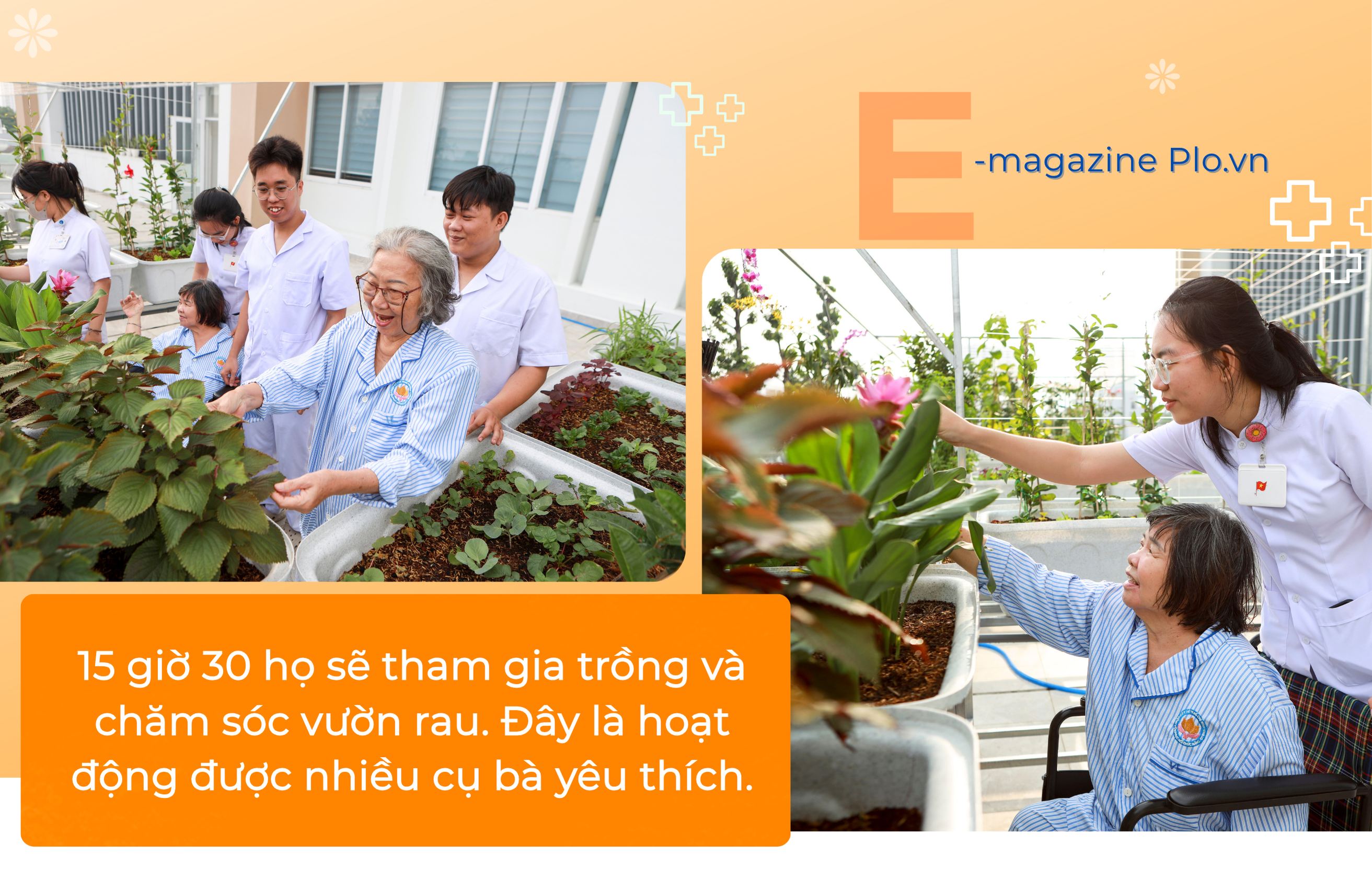 Khi người cao tuổi đi học bán trú  (1).png