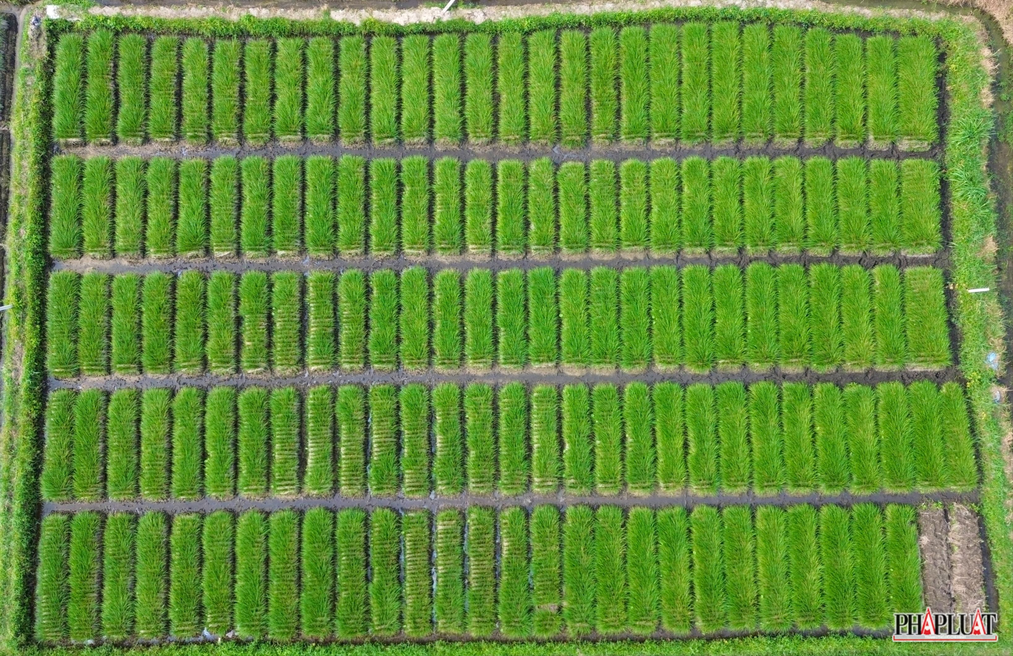 DJI_0391.jpg