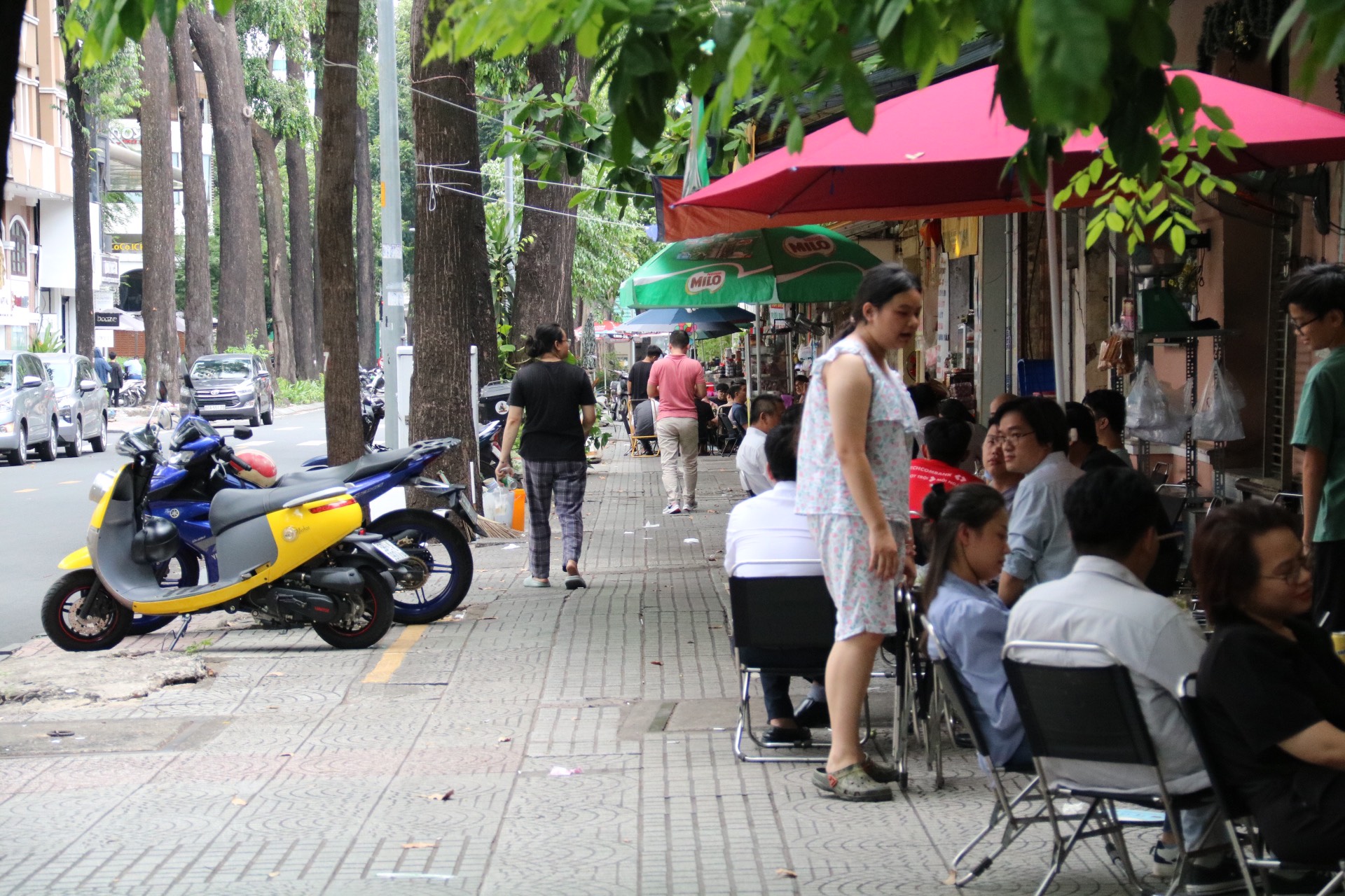 thu-phi-via-he-24.jpg