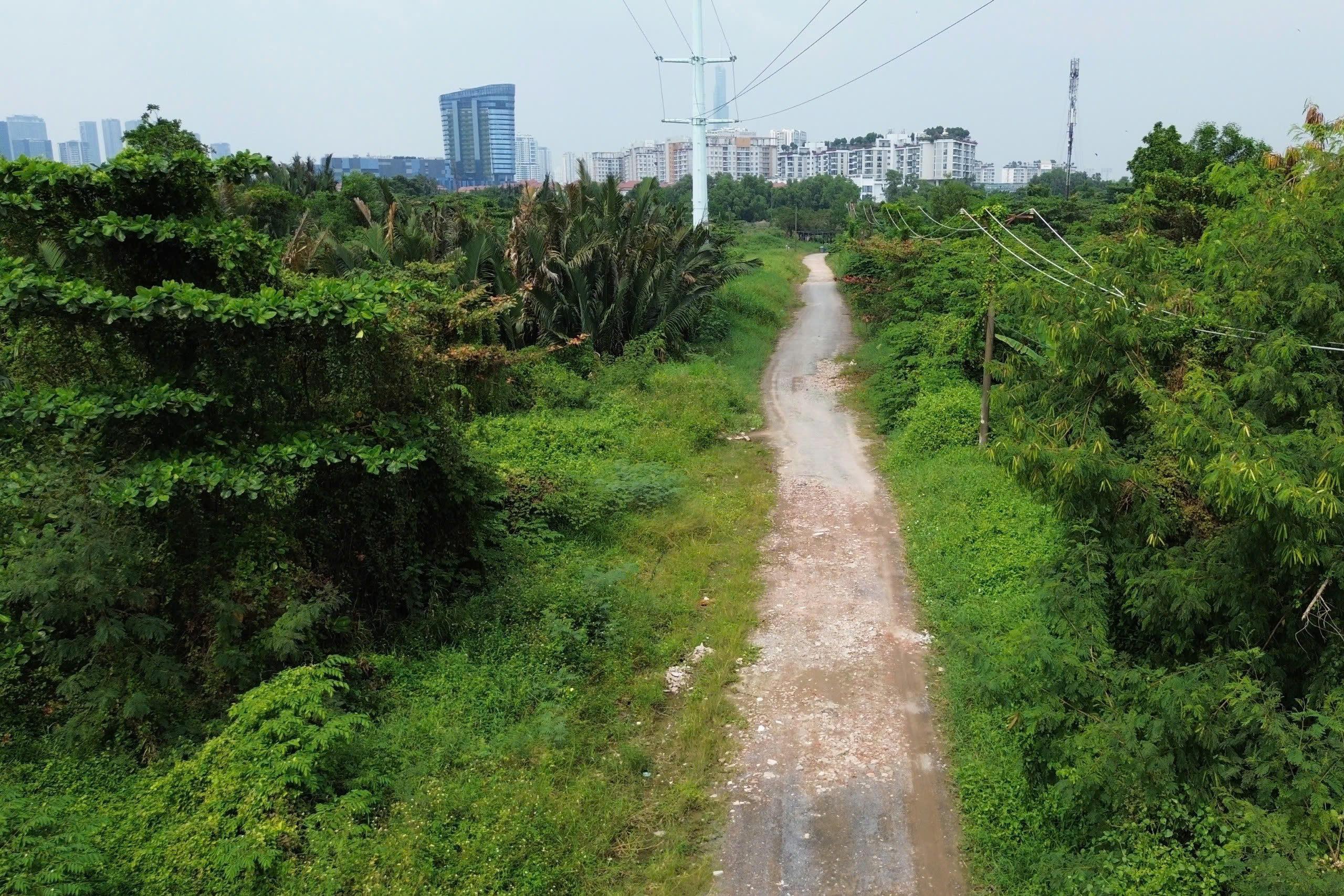 quy-hoach-quang-truong-1.jpg