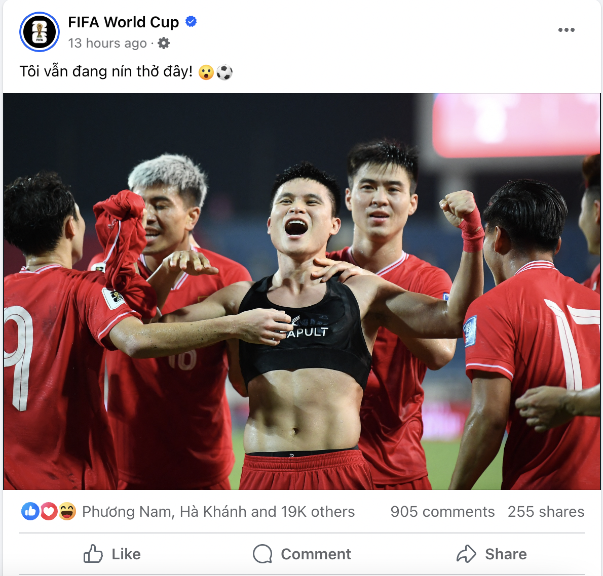 fifa-tuyen-viet-nam.png