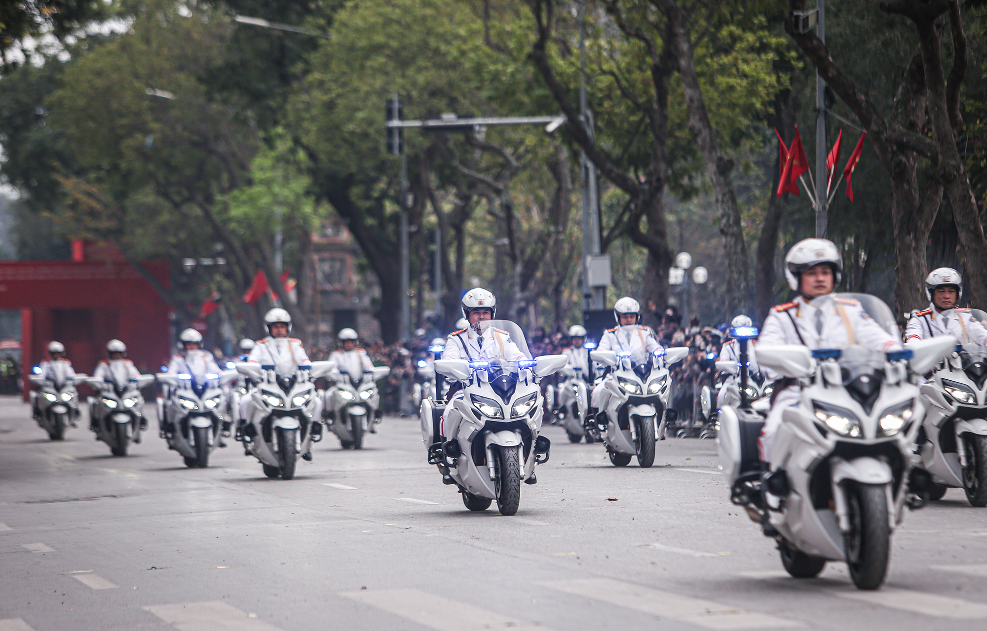 7L5A7219.JPG