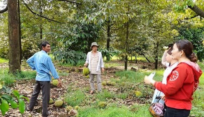 Nhiều gia đình ở Đức Linh thiệt hại rất nặng