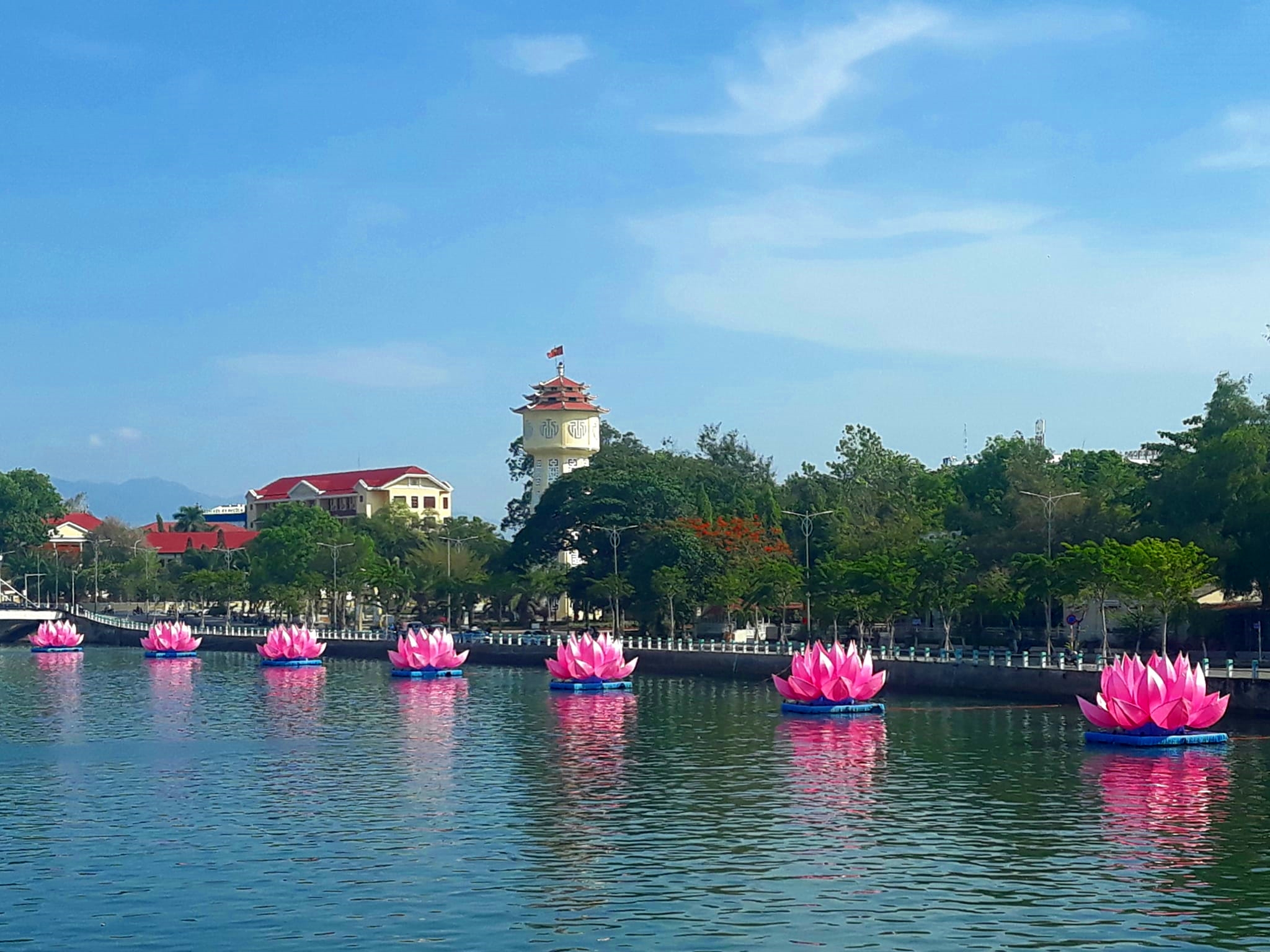 hoa sen