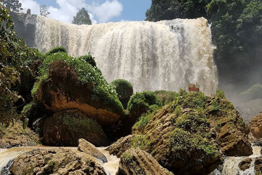 người phụ nữ