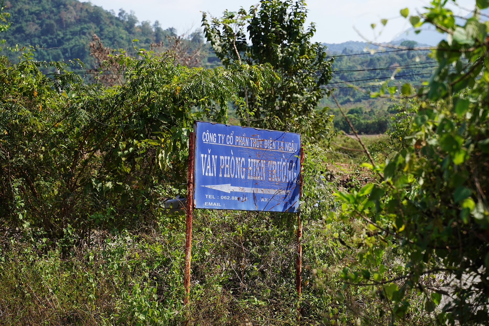 tuoitre.vn