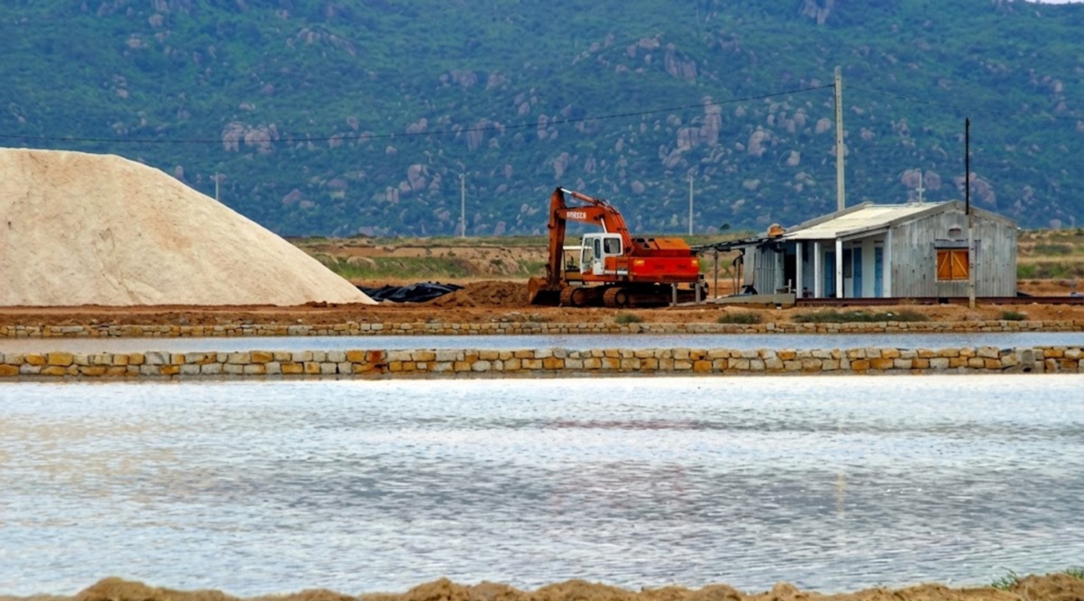 đồng muối Thông Thuận