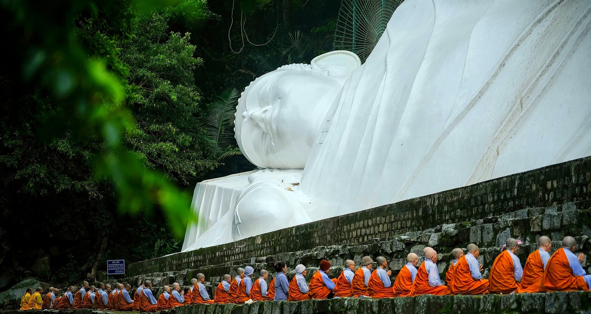 sun-group (3).jpg
