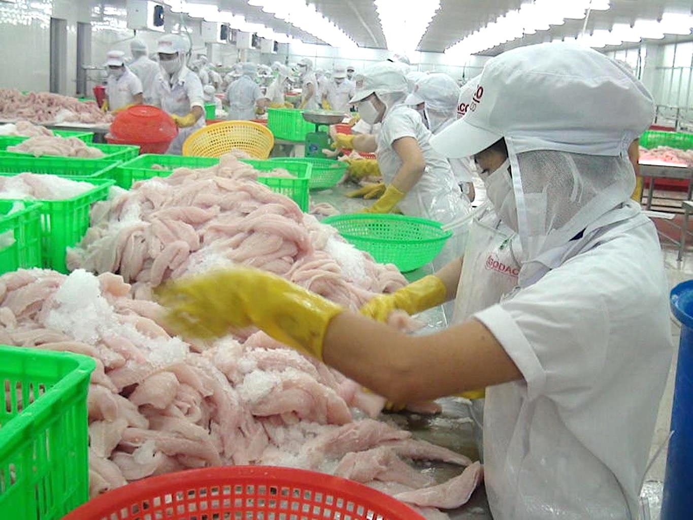 cá tra xuất khẩu