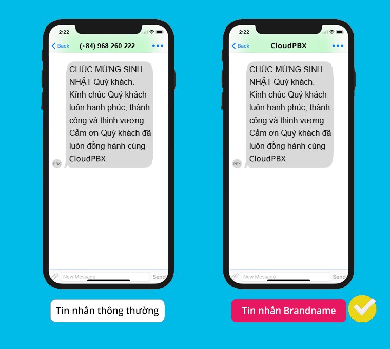 Bo-Cong-an-canh-bao-lua-dao-qua-tin-nhan-SMS-Brandname-1.jpg