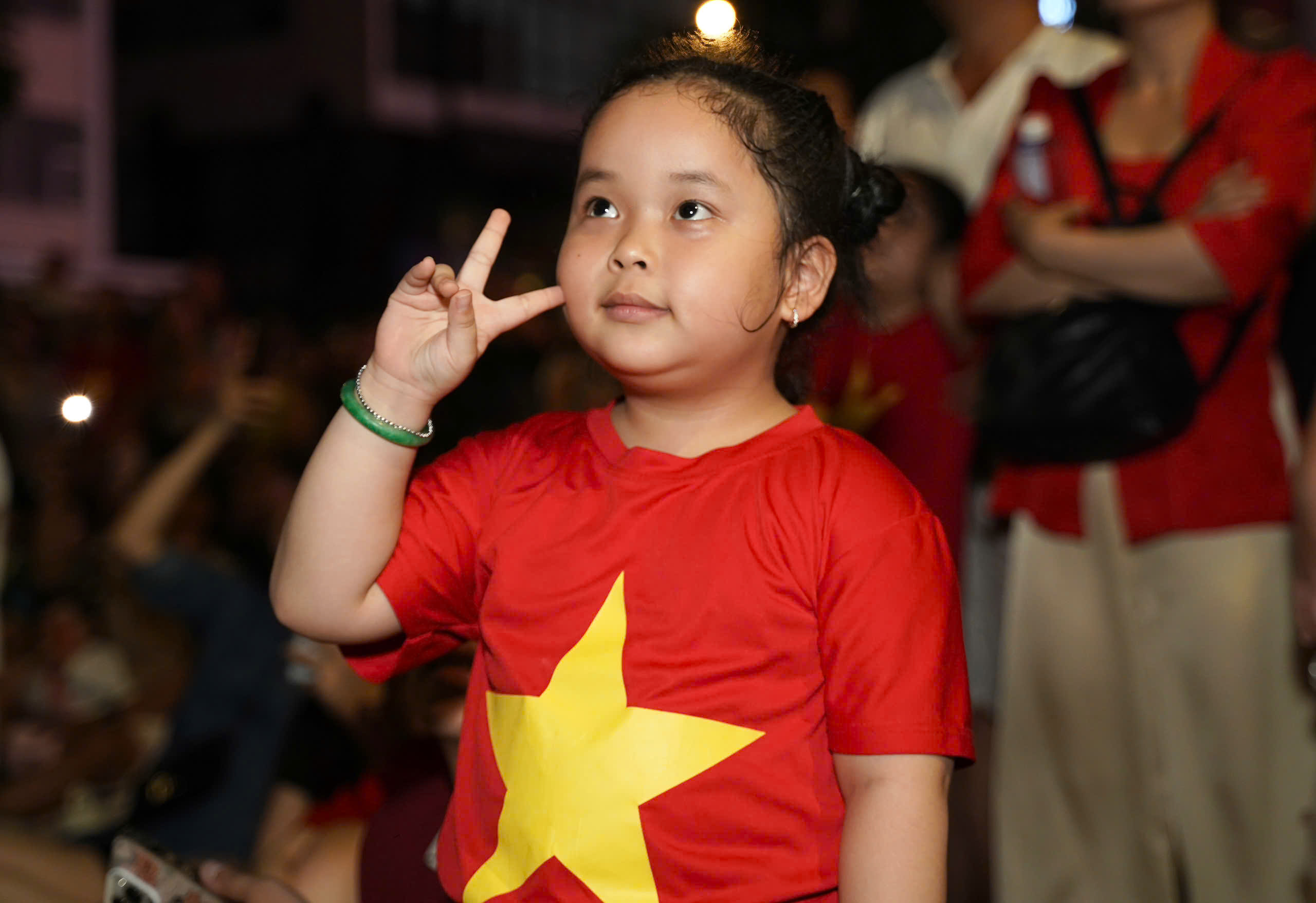 Pháo hoa  (10).jpg