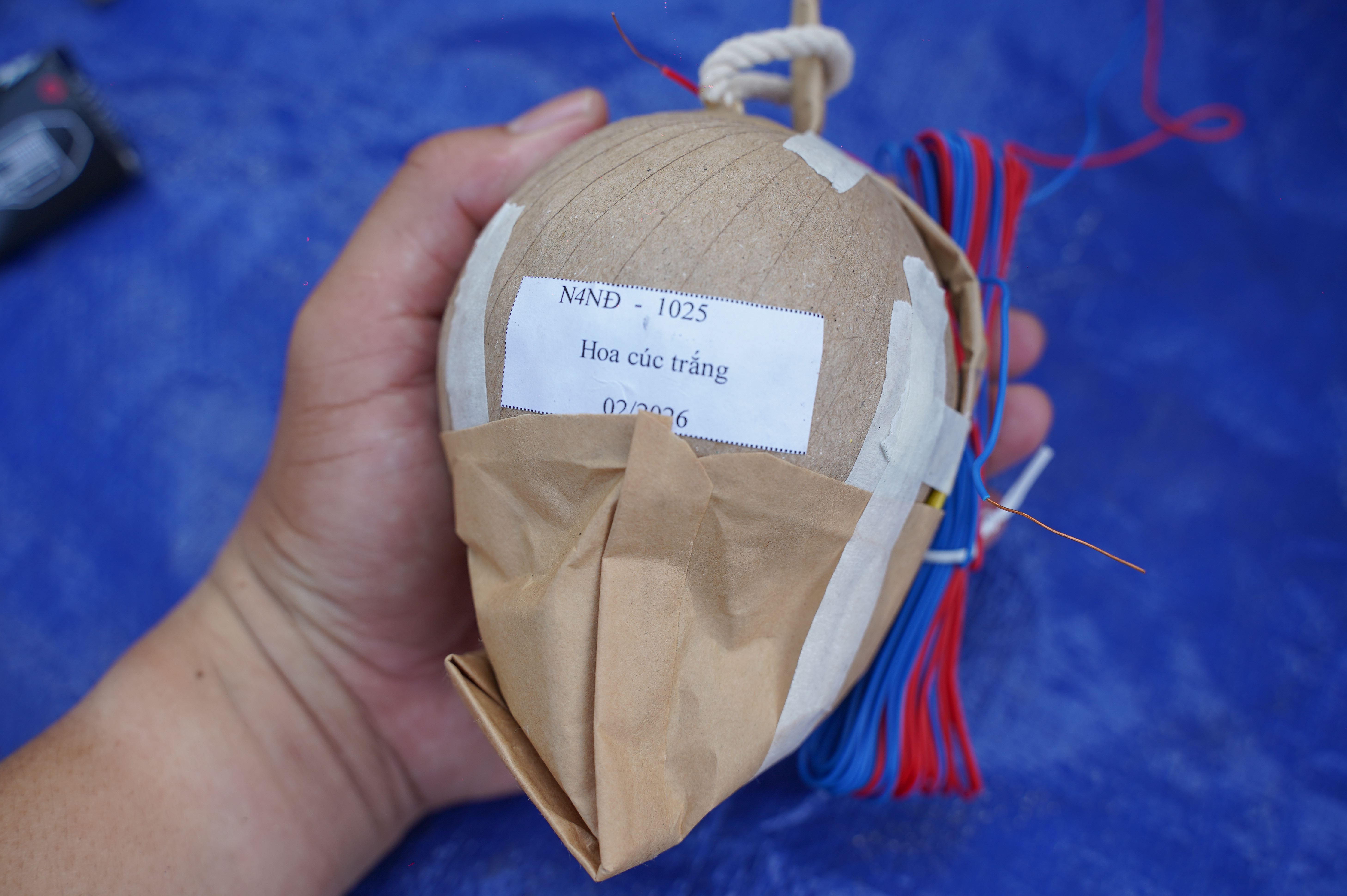 pháo hoa  (5).jpg