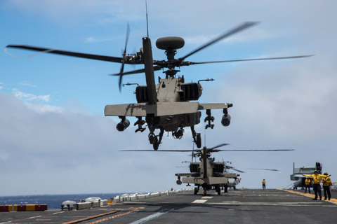 tập trận, RIMPAC, Thủ quân Lục chiến