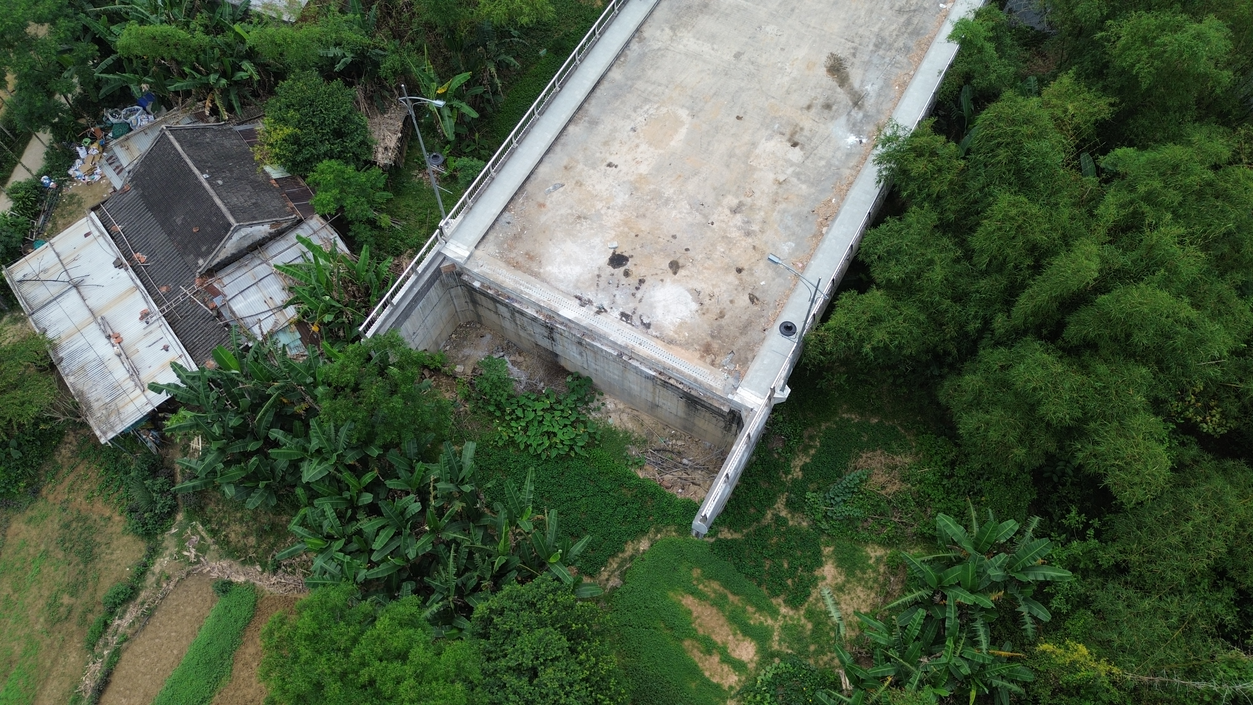 cây cầu 145 tỉ