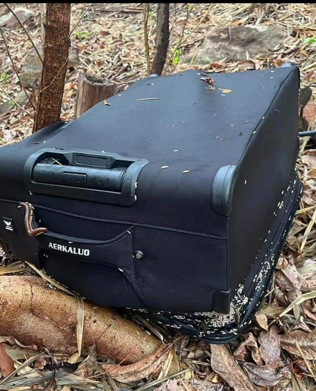 giau-xac-trong-vali.jpg