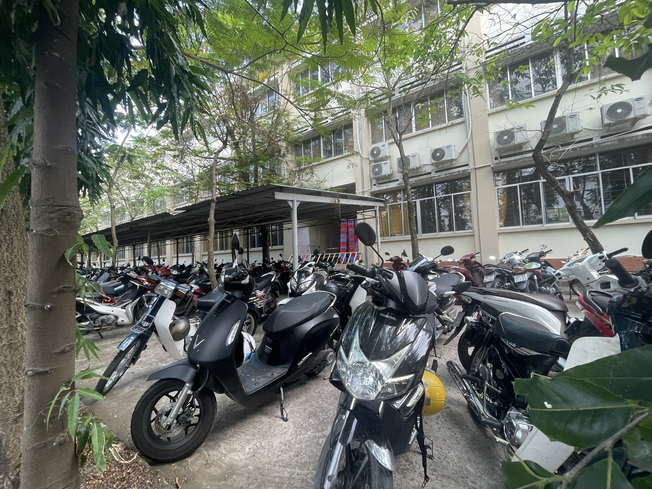 xe trên 50cm3