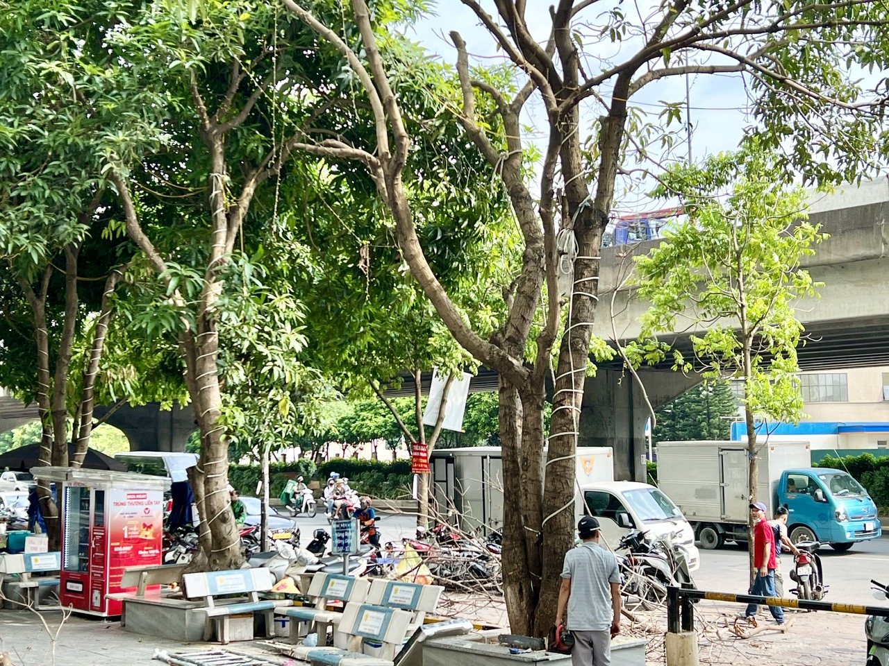 siêu bão số 3.jpg