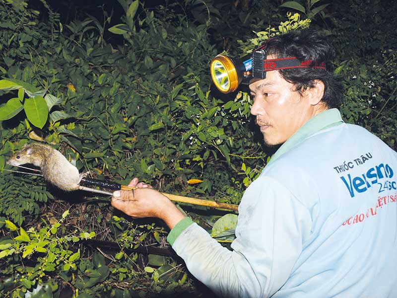 Chuyện lạ miền Tây