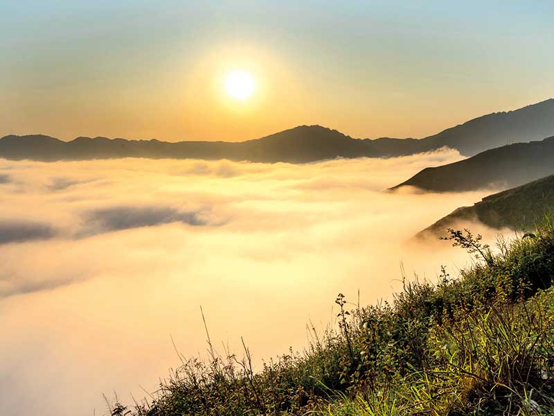Thả mây tìm gió