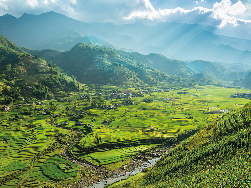 Những thung lũng buồn thiu