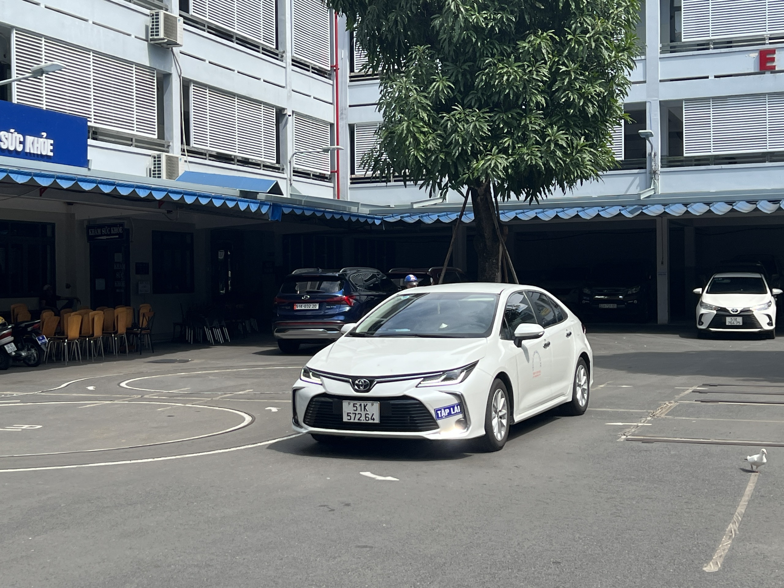 đơn vị đào tạo lái xe
