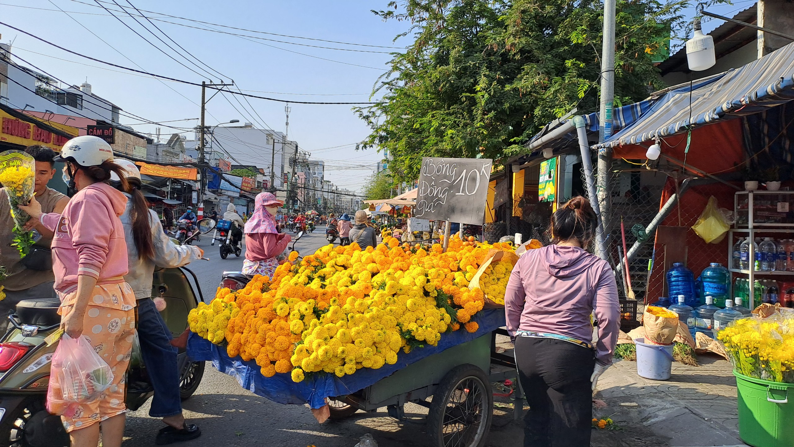GIẢM GIÁ
