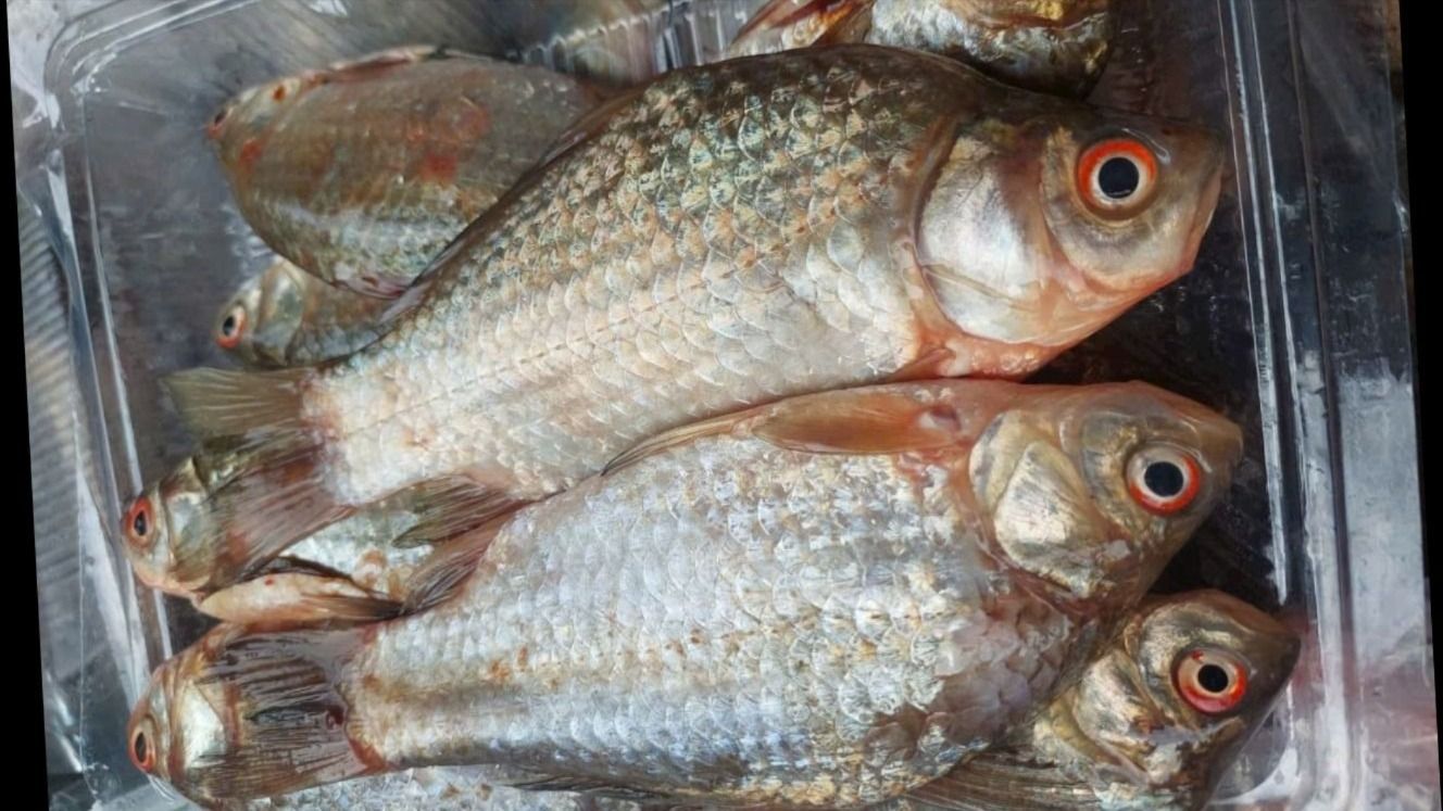Những bộ phận của cá ẩn náu vi khuẩn dễ bị bỏ quên khi sơ chế