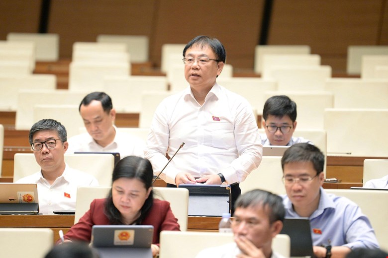 dai-bieu-Nguyen-Cong-Long.jpg