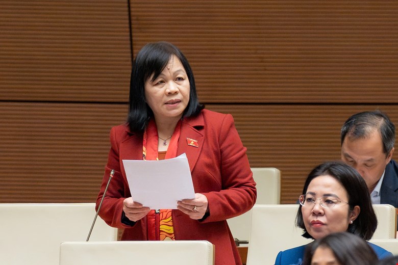 dai-bieu-Nguyen-Thi-Mai-Hoa.jpg