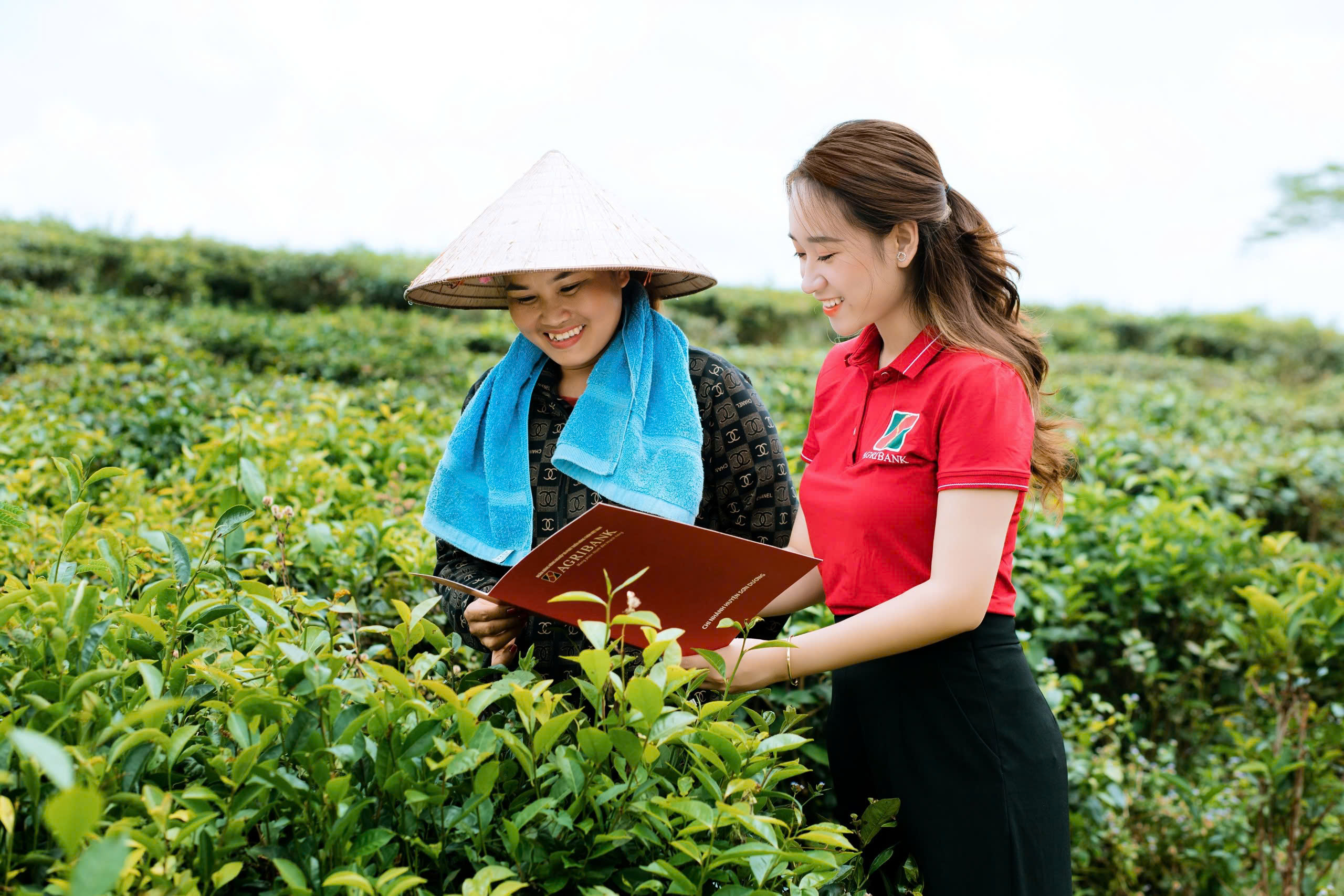 Hơn 750.000 tỉ đồng đổ vào tín dụng xanh: Ngân hàng đồng loạt chuyển mình