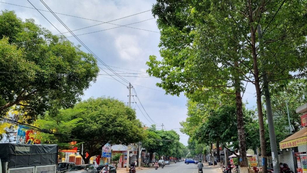 CÂY XANH 1.jpg