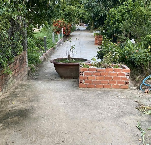 Bồn bê tông án giữa đường 2.jpg