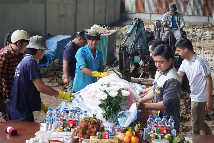 Cá heo gặp nạn 3.jpg