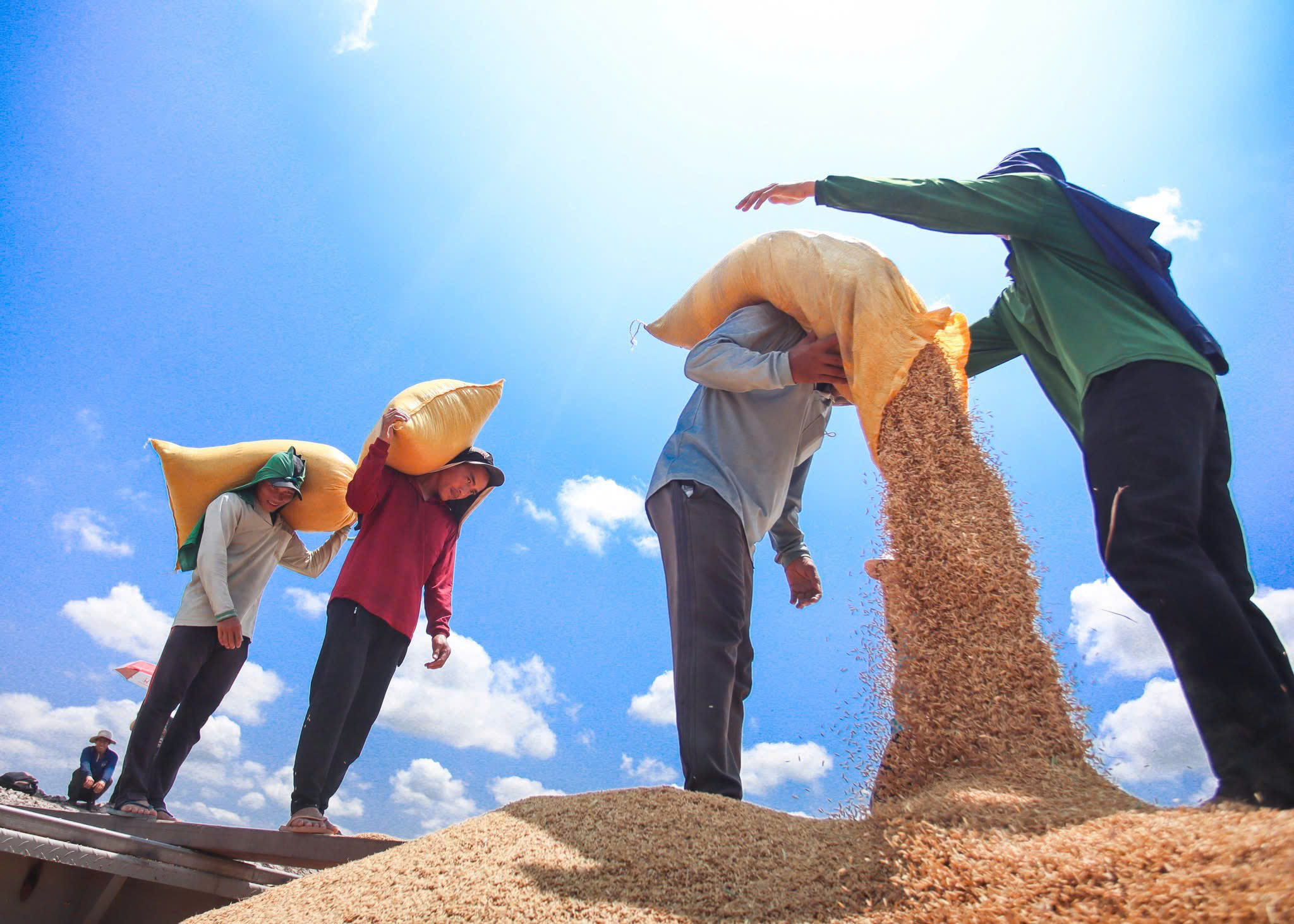 Người nông dân muốn mua BHYT có được hỗ trợ của Nhà nước không?
