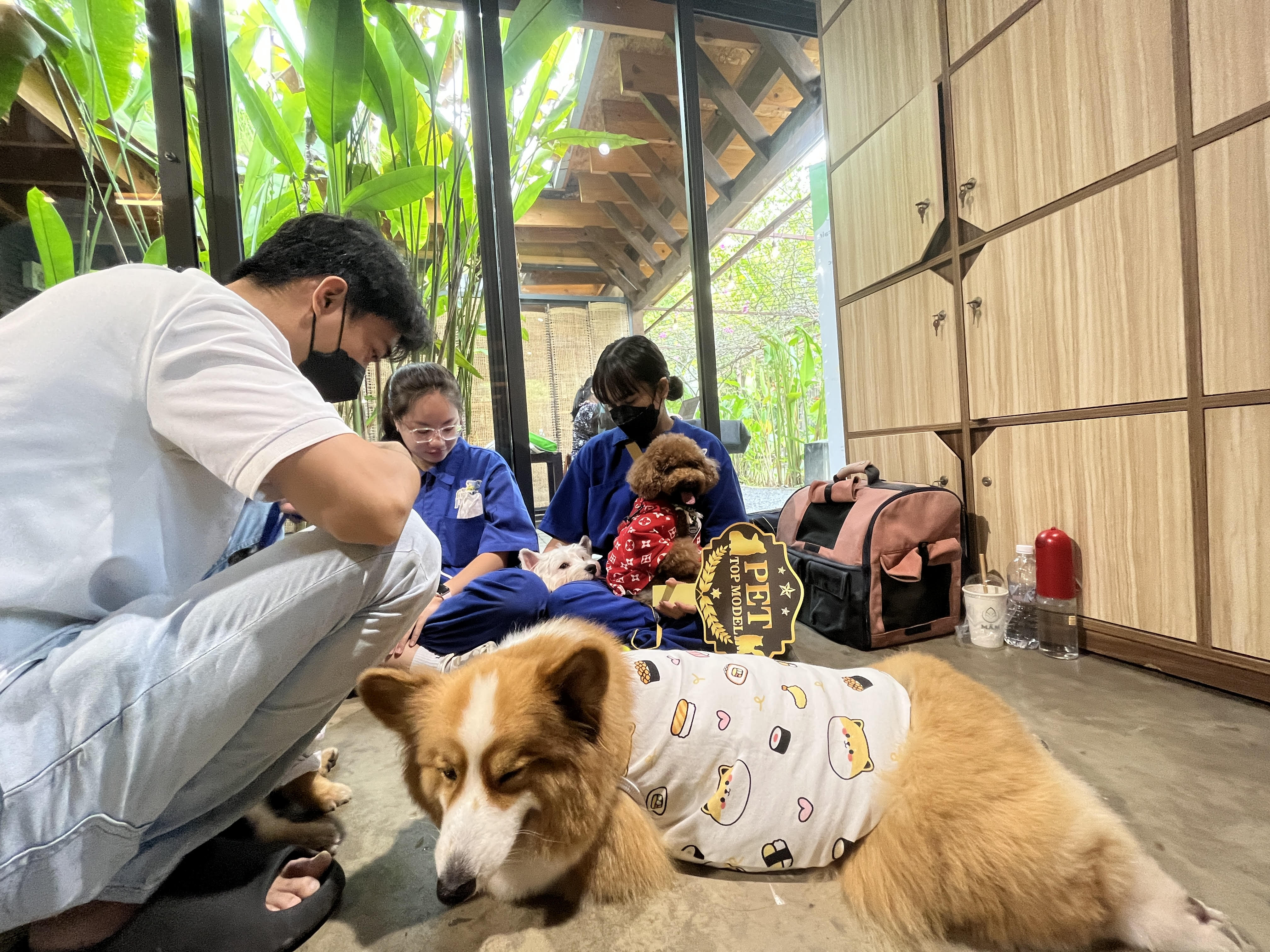 nông nghiệp công nghệ cao