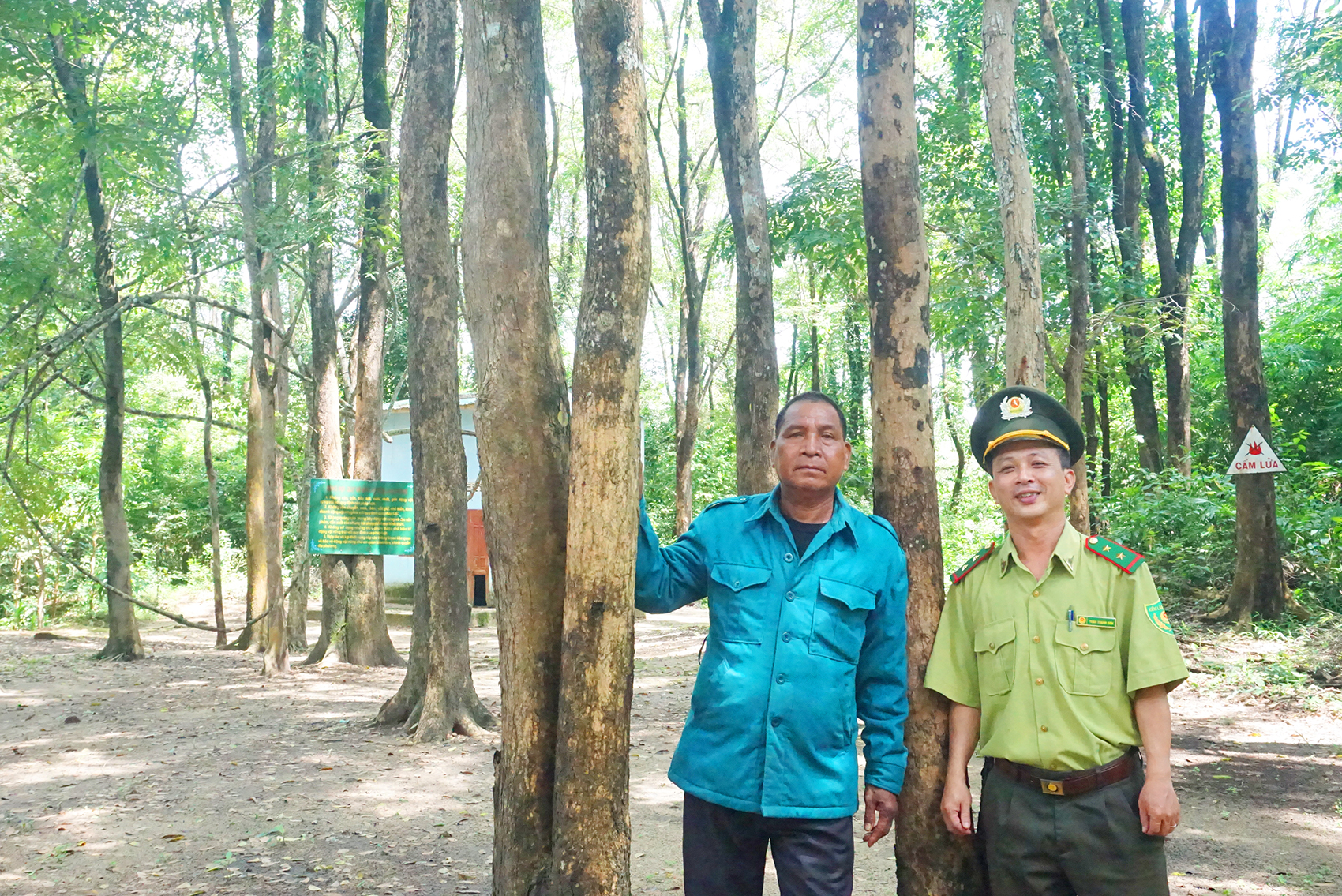 Rung-giang-huong-quy-bau-vat-lang-Gron-xa-krieng-huyen-duc-co 4.jpg