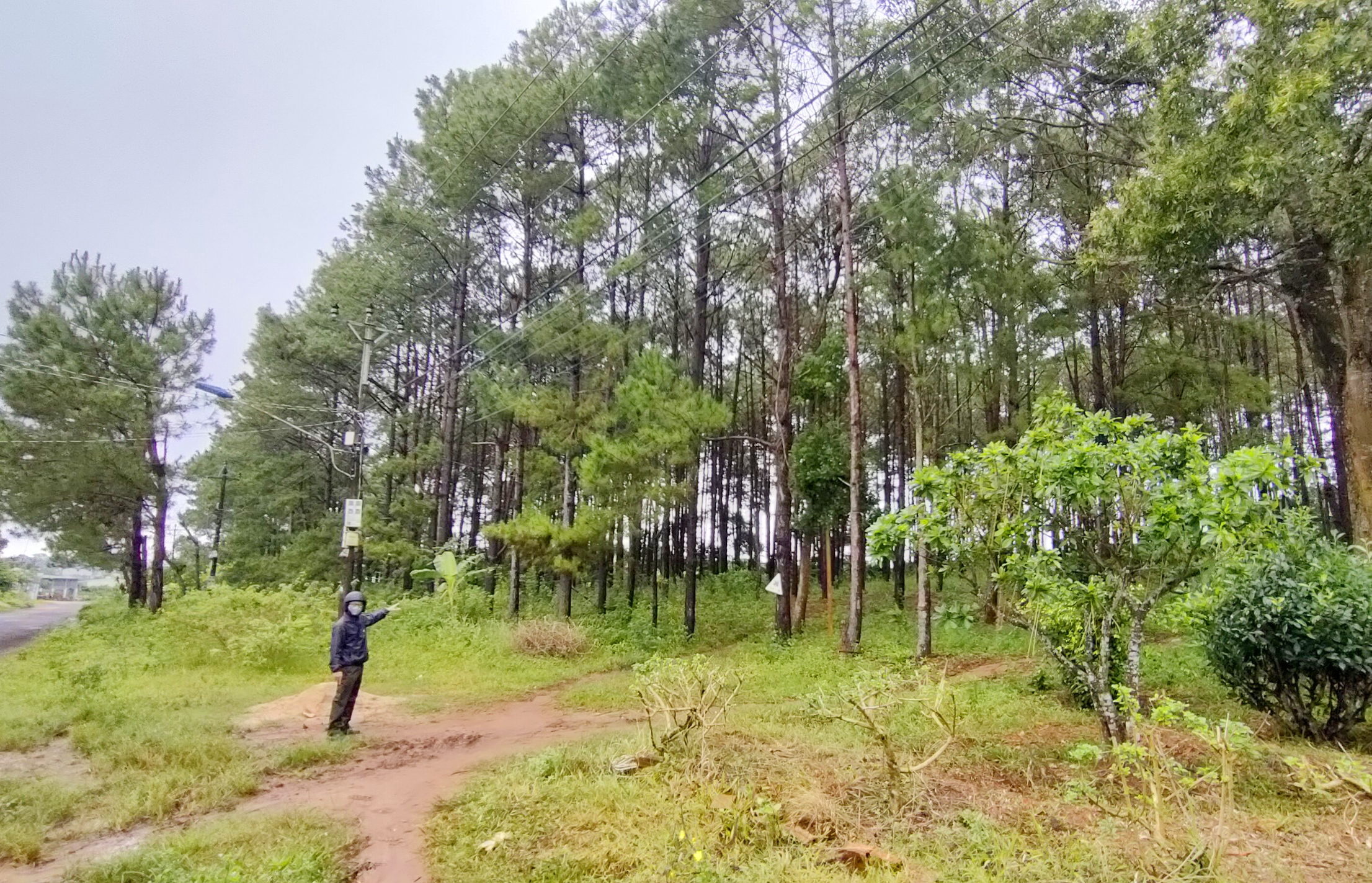 Vu-an-ong-Vo-Dinh-Som-Nhan-hoi-lo-500-trieu-dong.jpg