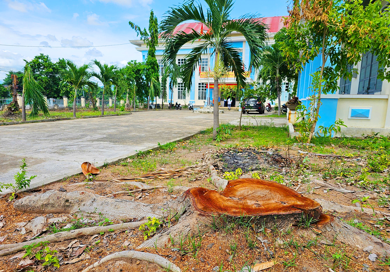 Cua-ha-cay-go-trong-khuon-vien-tru-so-phuong-Cheo-Reo-3.jpg