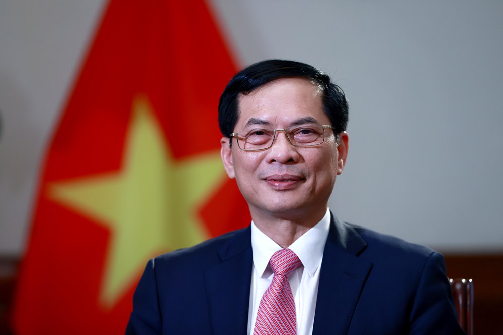 bo-truong-ngoai-giao-bui-thanh-son-phan-tich-ve-y-nghia-cua-ngoai-giao-cay-tre-1122.jpg
