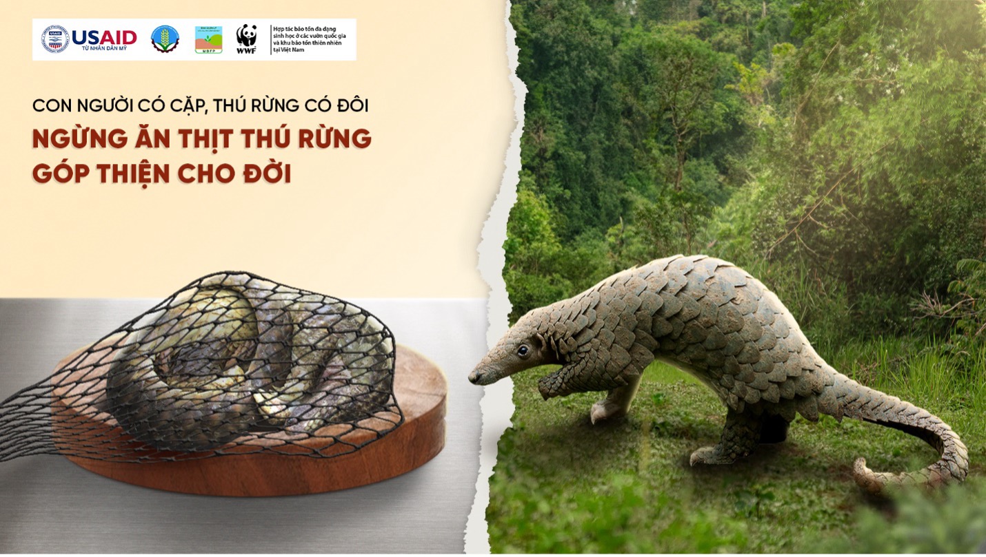dong-vat-haong-da-3.jpg
