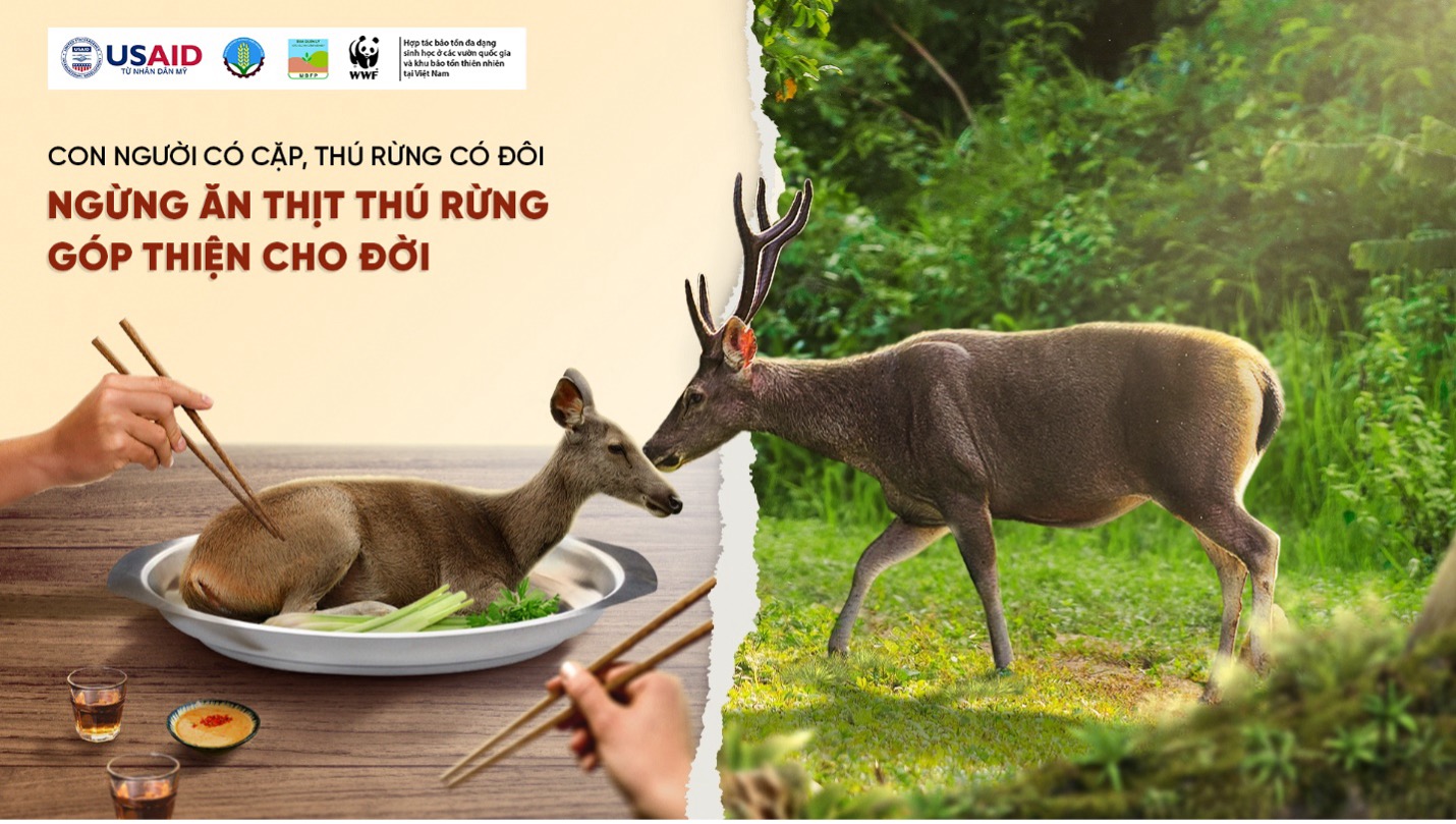 ngừng ăn thịt thú rừng