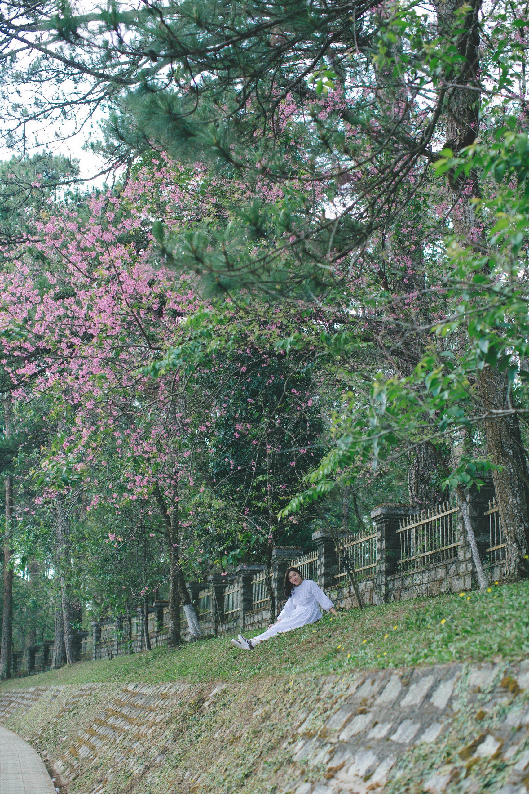 mai-anh-dao-7.jpg