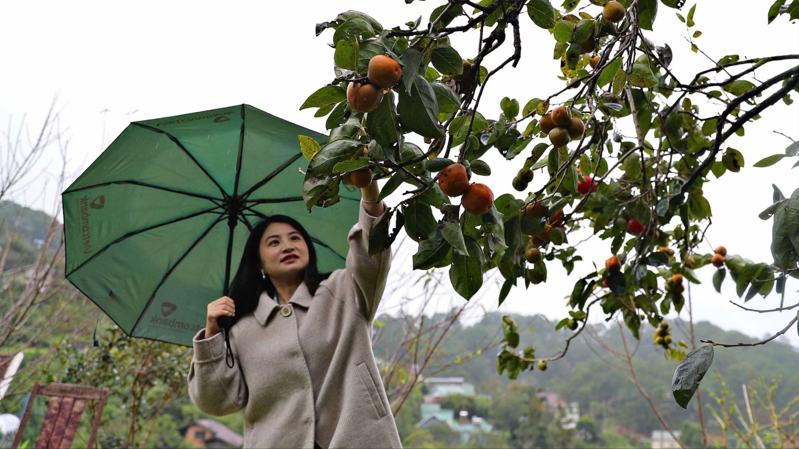 mua-hong-chin-1.jpg