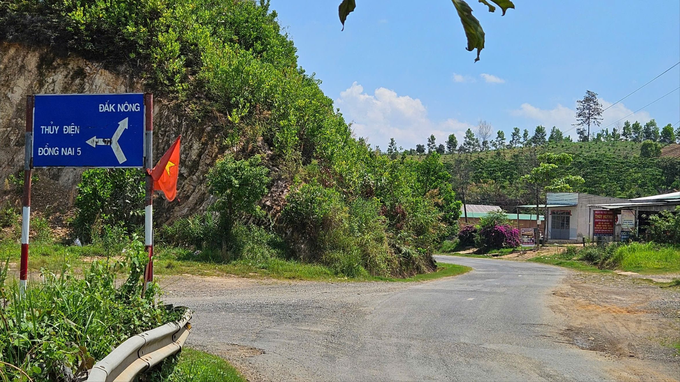 TINH-LAM-DONG-GT1.jpg