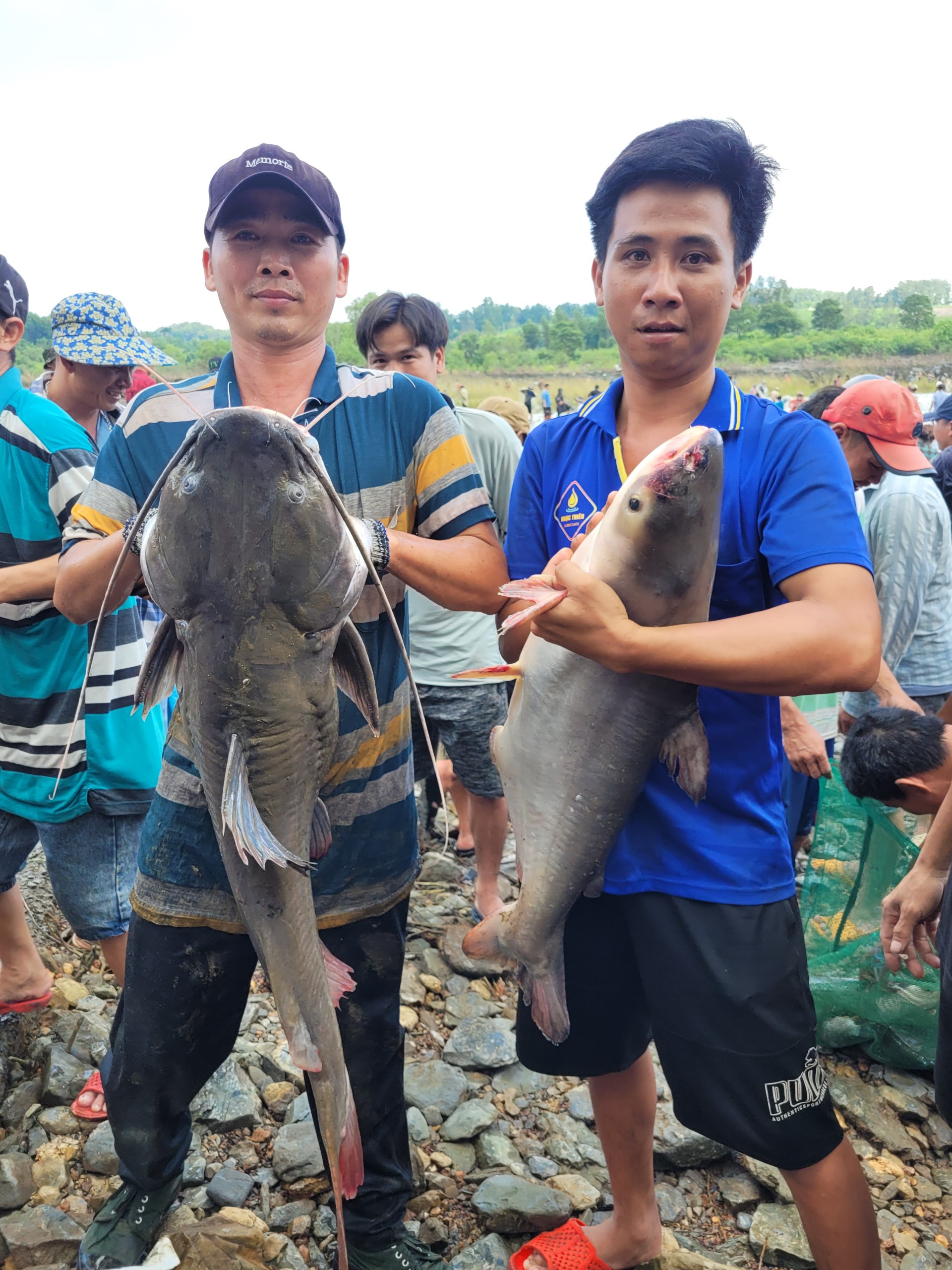 bắt - cá - 3.jpg