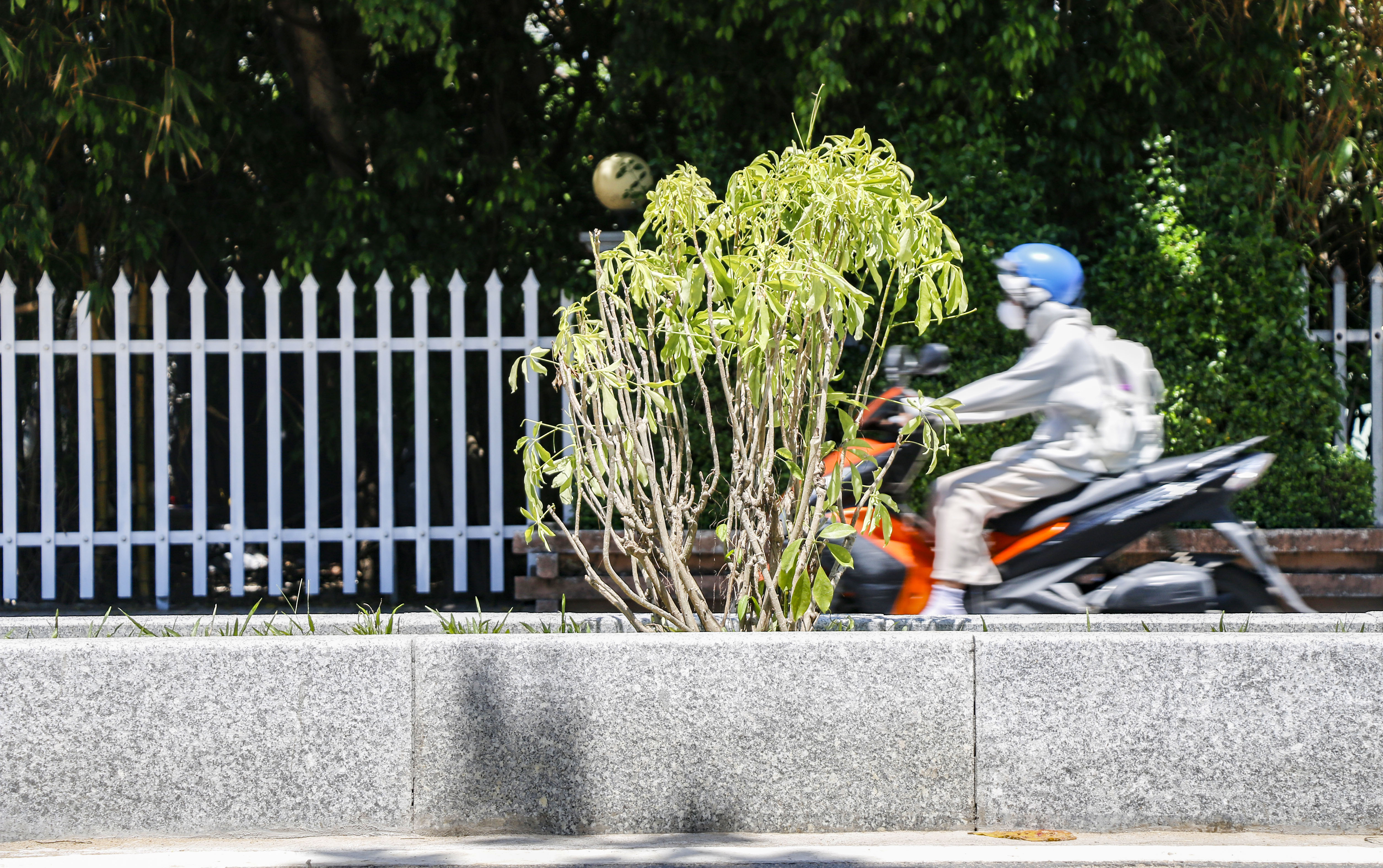 _MG_7717.jpg