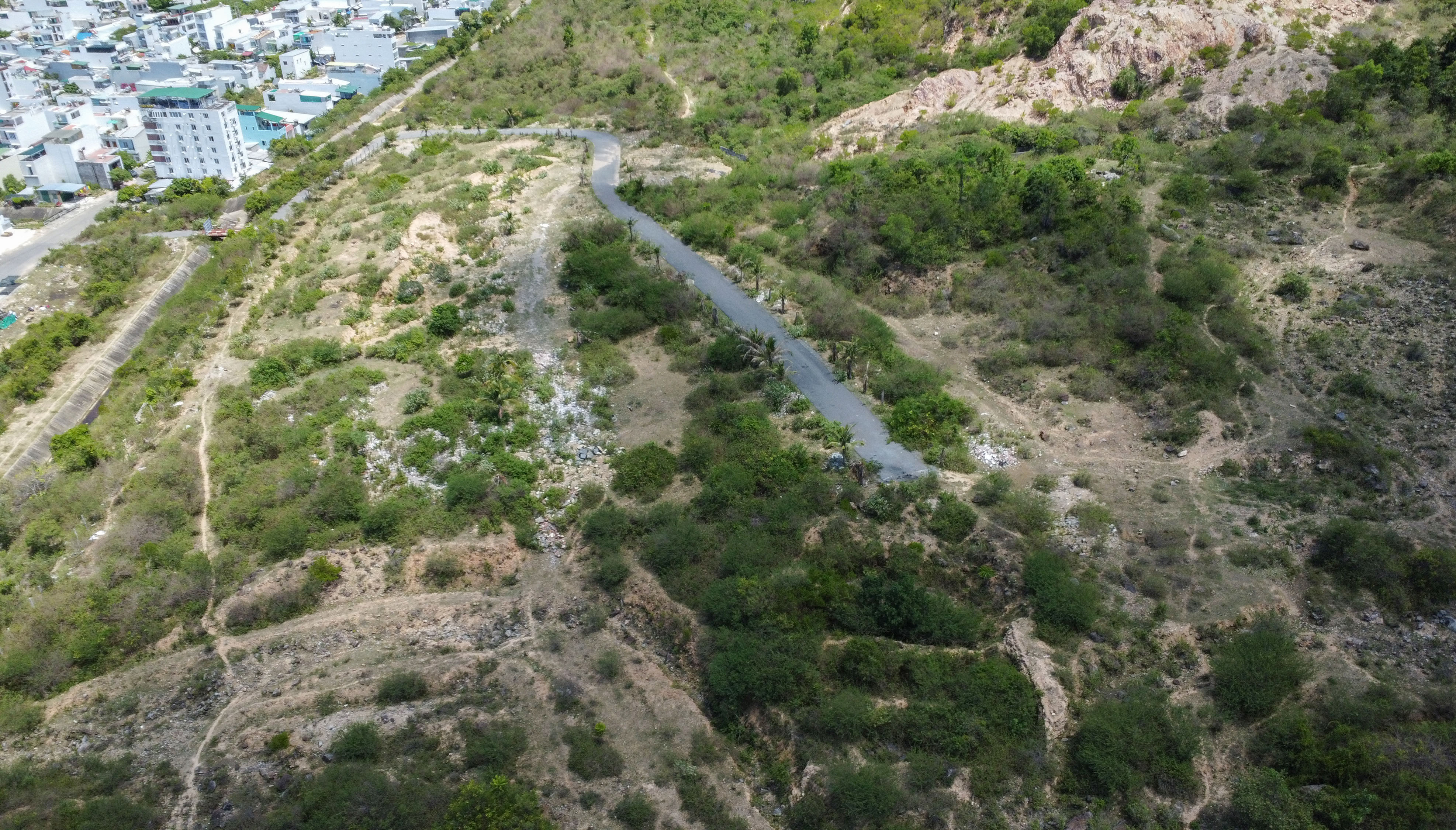 DJI_0161.jpg